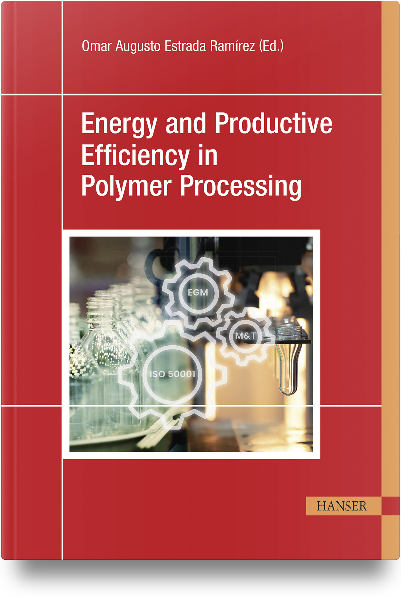 Energy and Productive Efficiency in Polymer Processing